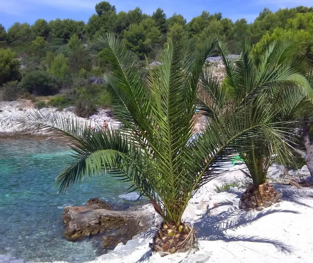 Apartment Apartmani Lm Trogir