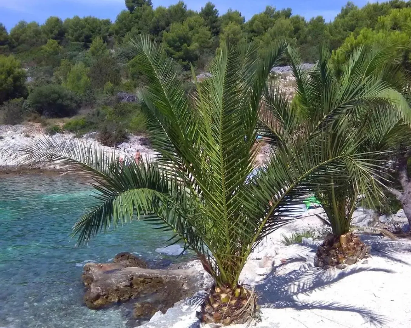 Apartment Apartmani Lm Trogir Croatia